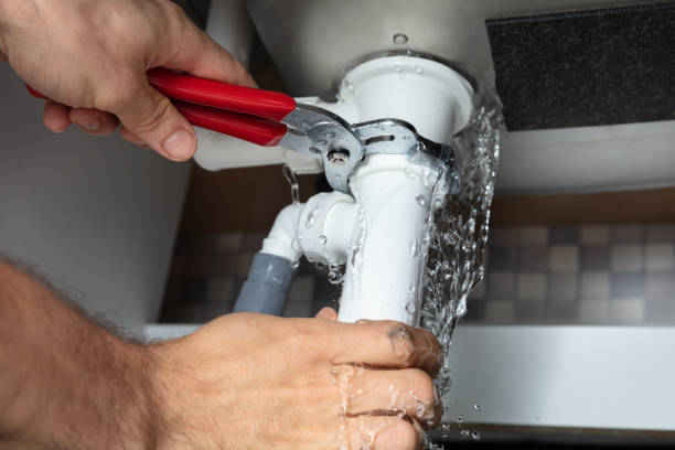 Best Mold removal after water damage  in La Junta, CO