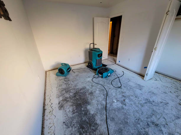 Best Flooded house restoration  in La Junta, CO