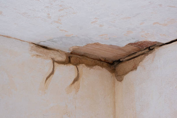 Best 24-hour water damage restoration  in La Junta, CO