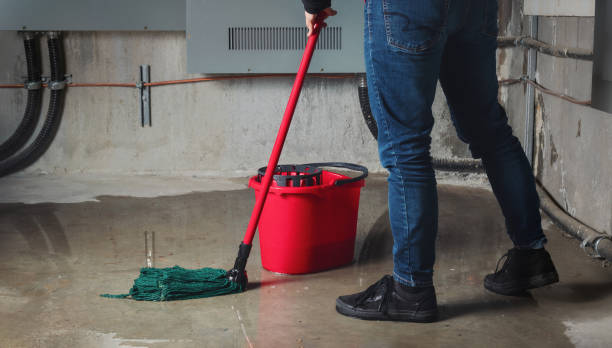 Best Commercial water damage restoration  in La Junta, CO