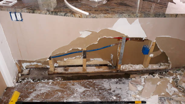 Best Professional water damage repair  in La Junta, CO
