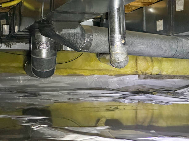 Carpet water damage restoration in CO