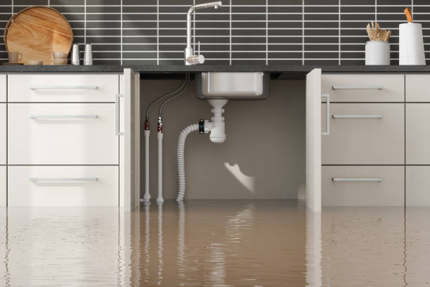 Best Residential water damage restoration  in La Junta, CO