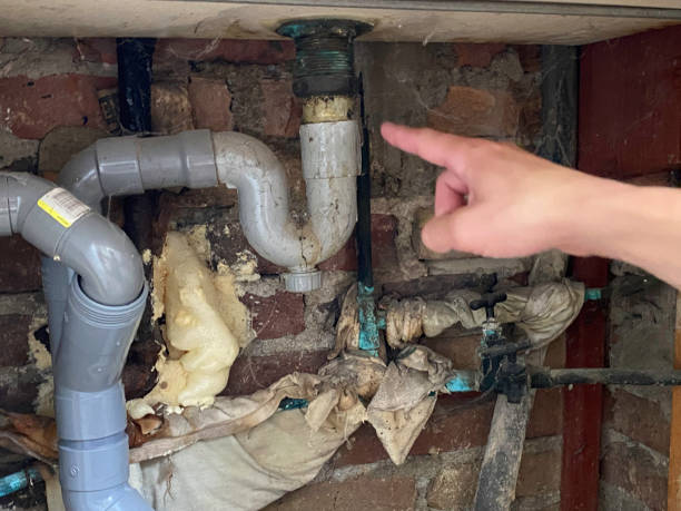 Best Water damage restoration insurance claims  in La Junta, CO